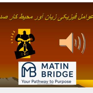 صدا عوامل فیزیکی زیان آور محیط کار