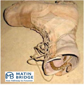 دانلود دستورالعمل HSE کنترل حشرات و جوندگان | ایمنی، بهداشت و محیط زیست 3 دانلود دستورالعمل HSE کنترل حشرات و جوندگان